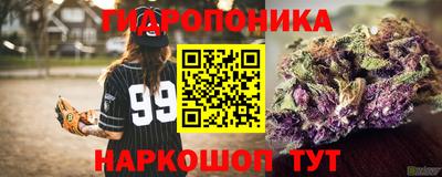 дживик Кунгур