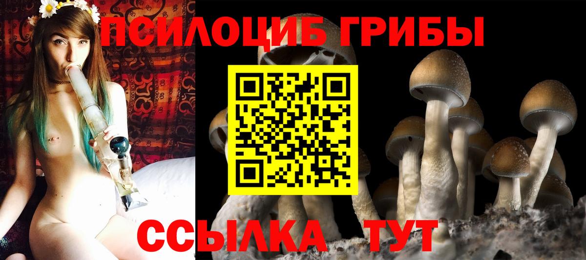 Скопин  Галлюциногенные грибы мицелий  Вход с VPN 